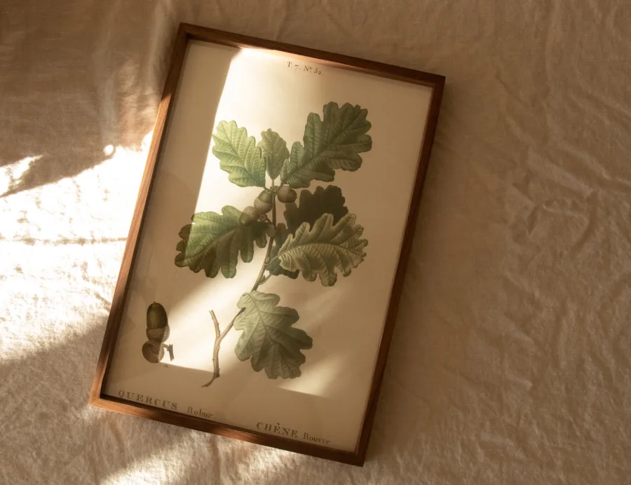 Thin walnut picture frame